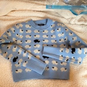 Size small crop sweater cider